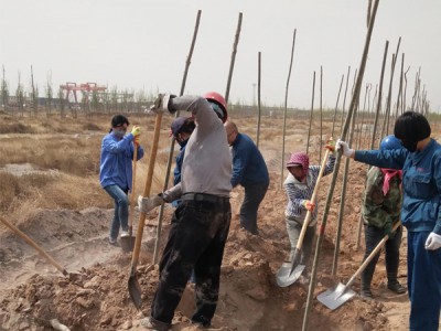 錦華化工綠化提升改造 助力生態(tài)文明建設